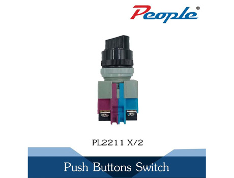 PL221 X/2 PUSH BUTTONS SWITCH