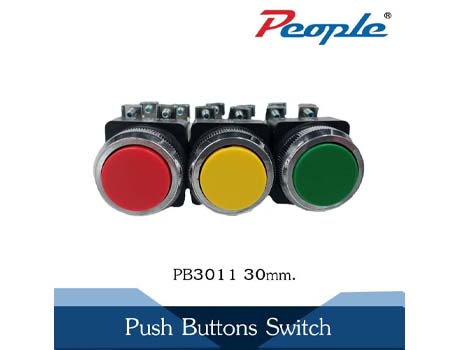 PB3011 30MM PUSH BUTTONS SWITCH